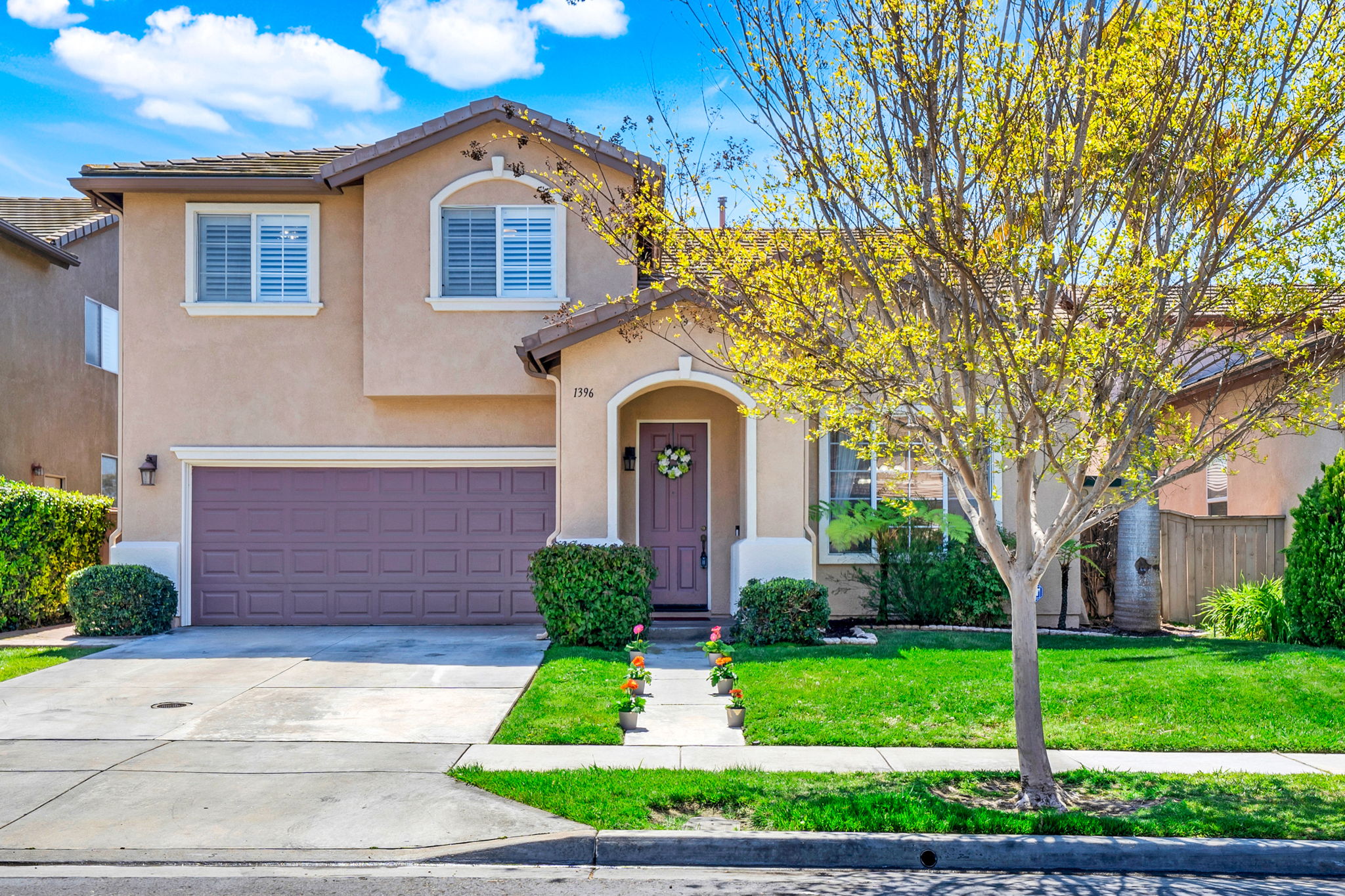 1396 Carneros Valley Street